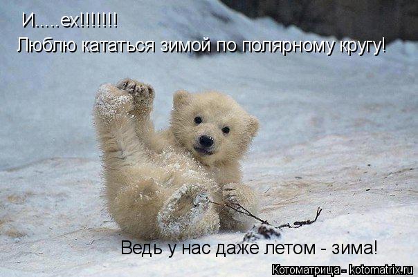 И.....ех!!!!!!! Люблю кататься зимой по полярному кругу! Ведь у нас даже летом - зима!... Котоматрица: И.....ех!!!!!!! Люблю кататься зимой по полярному кругу! Ведь у нас даже летом - зима!