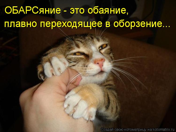 ОБАРСяние - это обаяние, плавно переходящее в оборзение...... Котоматрица: ОБАРСяние - это обаяние, плавно переходящее в оборзение...