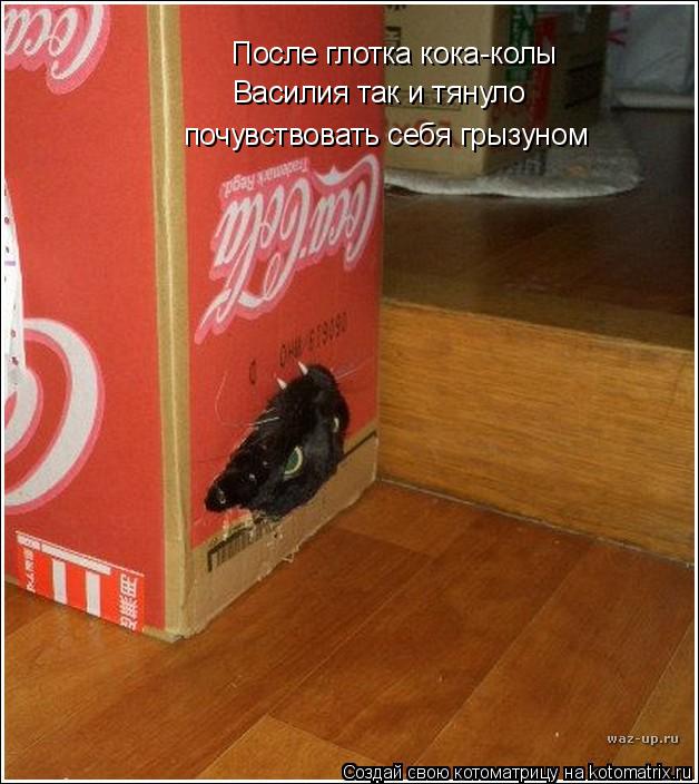 После глотка кока-колы Василия так и тянуло почувствовать себя грызуном... Котоматрица: После глотка кока-колы Василия так и тянуло почувствовать себя грызуном