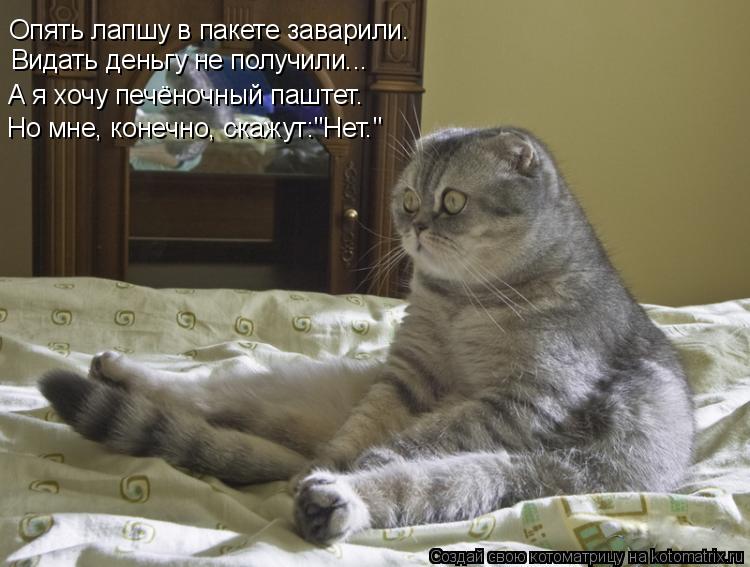 Опять лапшу в пакете заварили. Видать деньгу не получили... А я хочу печёночный паштет. Но мне, конеч... Котоматрица: Опять лапшу в пакете заварили. Видать деньгу не получили... А я хочу печёночный паштет. Но мне, конечно, скажут:"Нет."