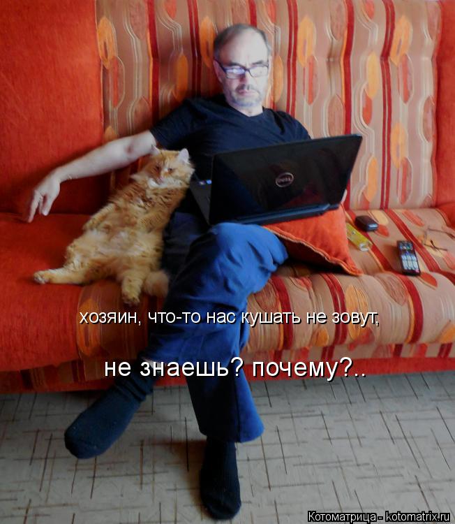 хозяин, что-то нас кушать не зовут, не знаешь? почему?..... Котоматрица: хозяин, что-то нас кушать не зовут, не знаешь? почему?..
