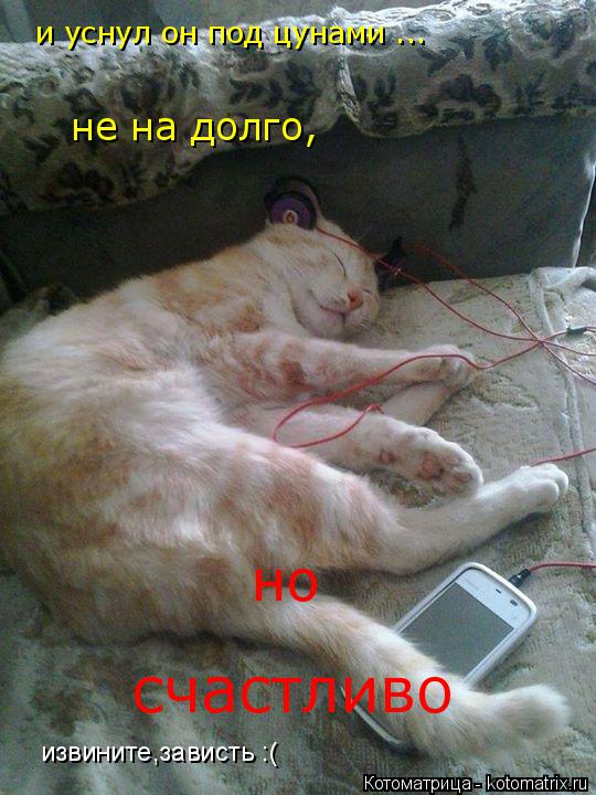 и уснул он под цунами ... не на долго, но счастливо извините,зависть :(... Котоматрица: и уснул он под цунами ... не на долго, но счастливо извините,зависть :(