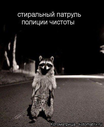 стиральный патруль полиции чистоты... Котоматрица: стиральный патруль полиции чистоты