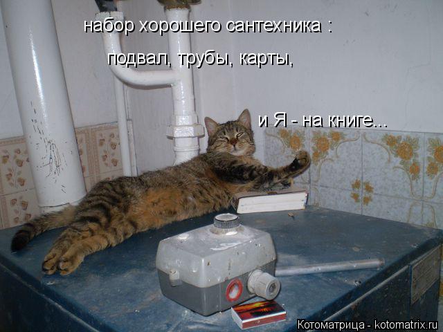набор хорошего сантехника : подвал, трубы, карты, и Я - на книге...... Котоматрица: набор хорошего сантехника : подвал, трубы, карты, и Я - на книге...