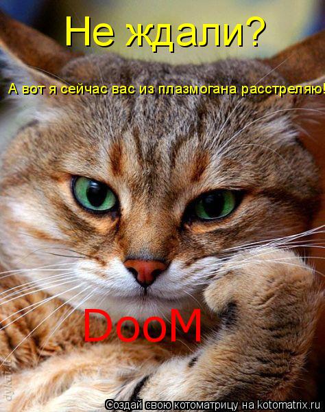 Котоматрица: Не ждали?  А вот я сейчас вас из плазмогана расстреляю! DooM