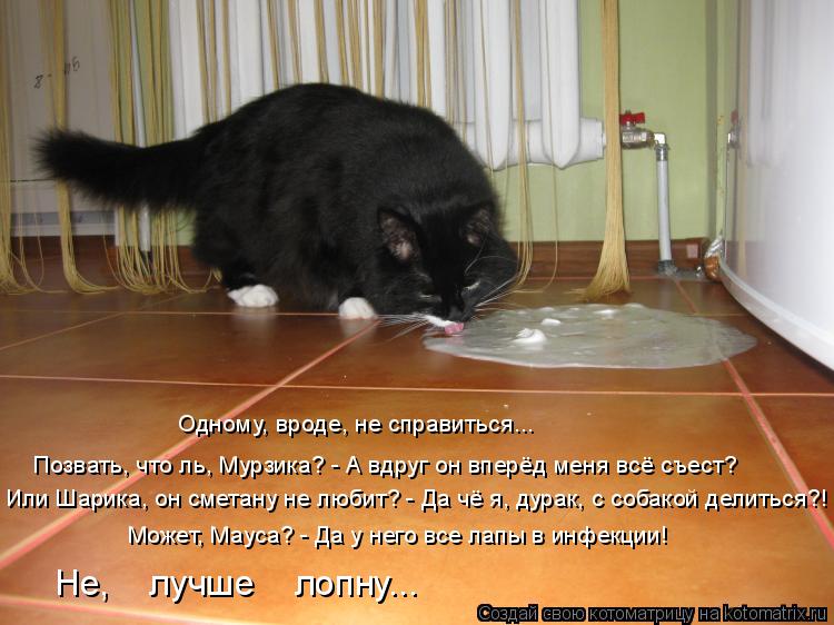 Позвать, что ль, Мурзика? - А вдруг он вперёд меня всё съест? Одному, вроде, не справиться... Или Шар... Котоматрица: Позвать, что ль, Мурзика? - А вдруг он вперёд меня всё съест? Одному, вроде, не справиться... Или Шарика, он сметану не любит? - Да чё я, дурак, с со