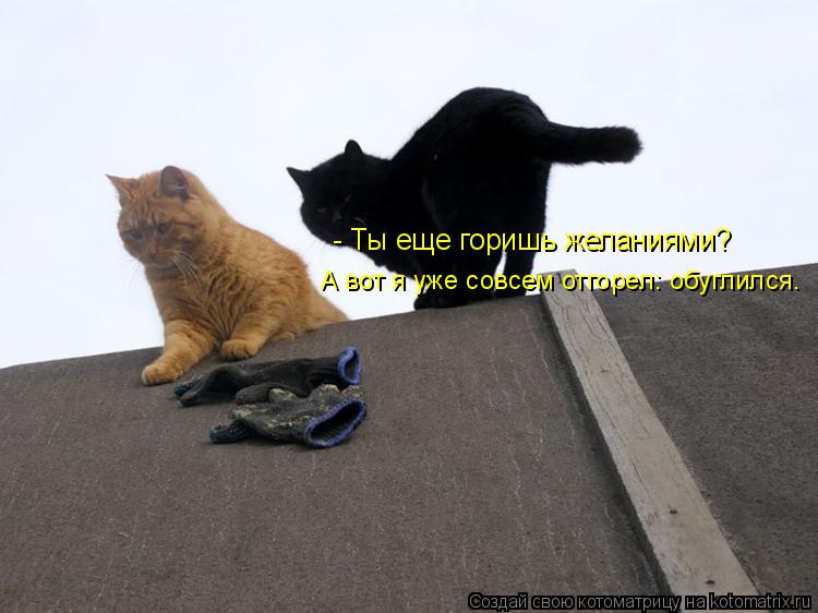 А вот я уже совсем отгорел: обуглился. - Ты еще горишь желаниями?... Котоматрица: А вот я уже совсем отгорел: обуглился. - Ты еще горишь желаниями?