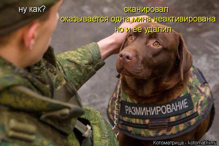 ну как? сканировал оказывается одна мина неактивирована но и ёё удалил... Котоматрица: ну как? сканировал оказывается одна мина неактивирована но и ёё удалил