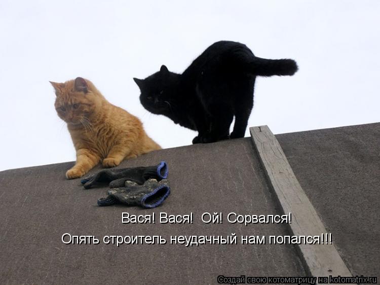 Вася! Вася! Ой! Сорвался! Опять строитель неудачный нам попался!!!... Котоматрица: Вася! Вася! Ой! Сорвался! Опять строитель неудачный нам попался!!!