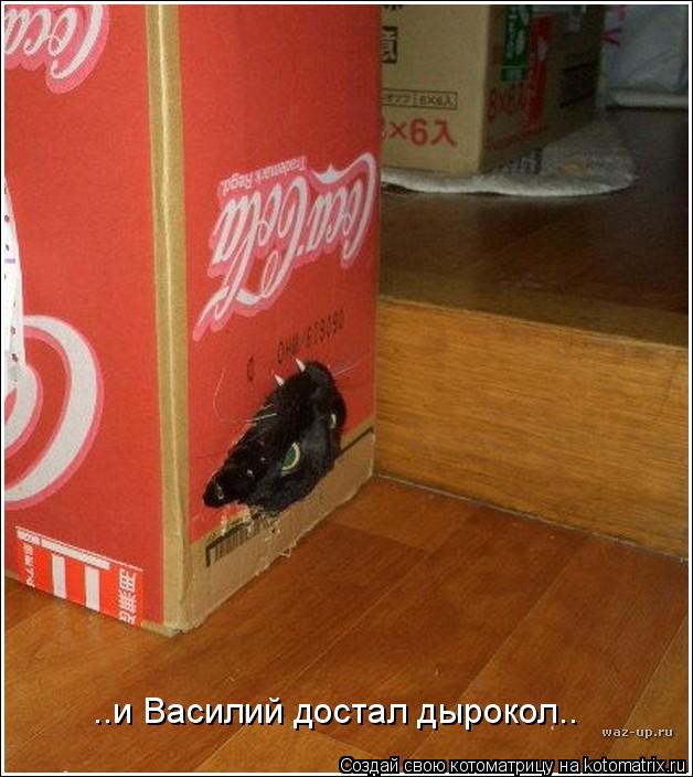 ..и Василий достал дырокол..... Котоматрица: ..и Василий достал дырокол..