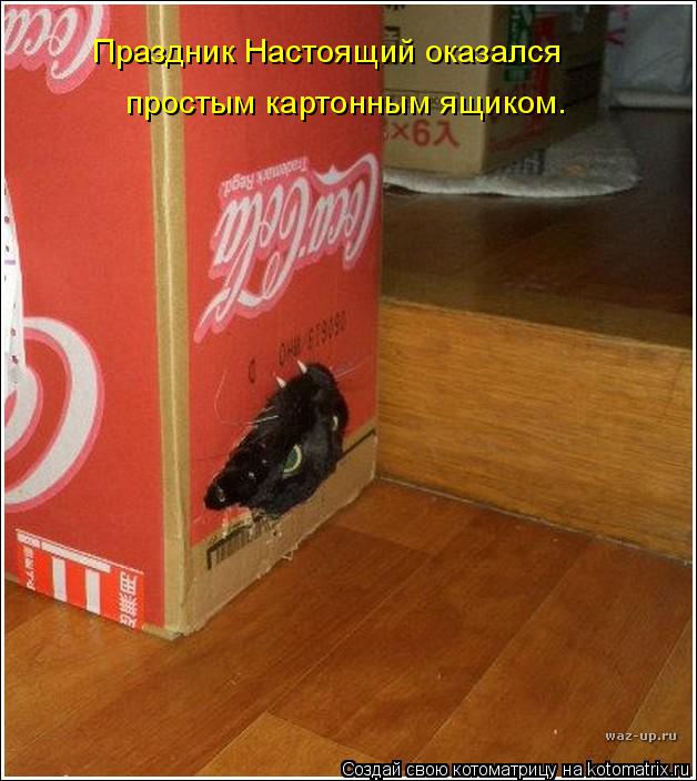 Праздник Настоящий оказался простым картонным ящиком.... Котоматрица: Праздник Настоящий оказался простым картонным ящиком.