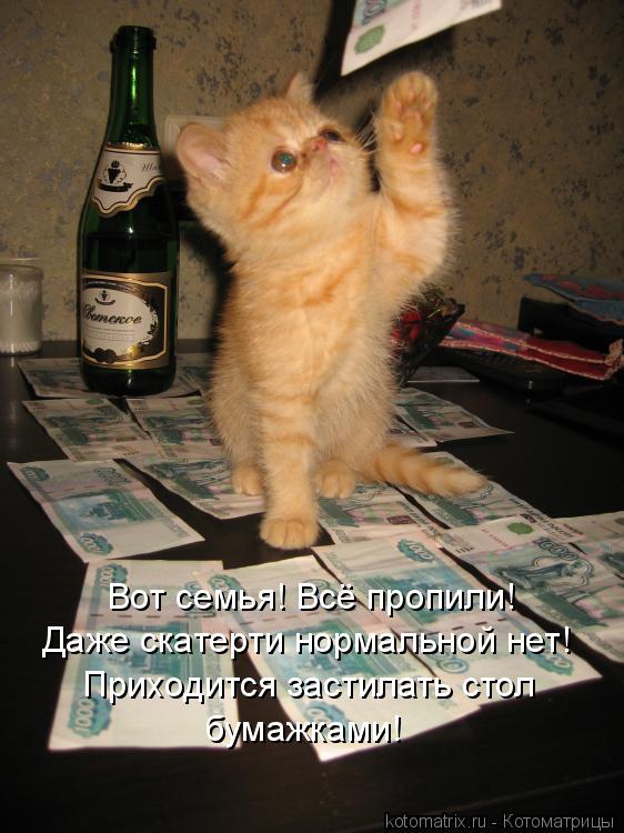 Вот семья! Всё пропили! Даже скатерти нормальной нет! Приходится застилать стол бумажками!... Котоматрица: Вот семья! Всё пропили! Даже скатерти нормальной нет! Приходится застилать стол бумажками!