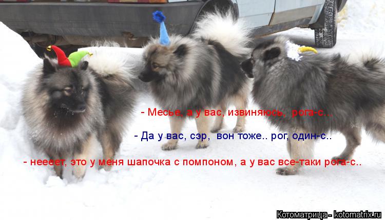 - неееет, это у меня шапочка с помпоном, а у вас все-таки рога-с.. - Да у вас, сэр, вон тоже.. рог,... Котоматрица: - неееет, это у меня шапочка с помпоном, а у вас все-таки рога-с.. - Да у вас, сэр, вон тоже.. рог, один-с.. - Месье, а у вас, извиняюсь, рога-с...