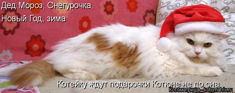 Дед Мороз, Снегурочка, Новый Год, зима Котейку ждут подарочки Котюне не до сна... Котоматрица: Дед Мороз, Снегурочка, Новый Год, зима Котейку ждут подарочки Котюне не до сна