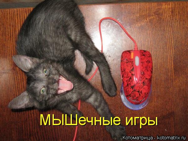 МЫШечные игры... Котоматрица: МЫШечные игры