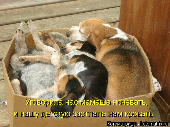 Уговорила нас мамаша ночевать, и нашу детскую застлала нам кровать.... Котоматрица: Уговорила нас мамаша ночевать, и нашу детскую застлала нам кровать.