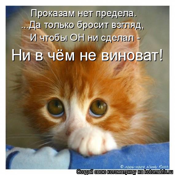 ...Да только бросит взгляд, Ни в чём не виноват! Проказам нет предела. И чтобы ОН ни сделал -... Котоматрица: ...Да только бросит взгляд, Ни в чём не виноват! Проказам нет предела. И чтобы ОН ни сделал -