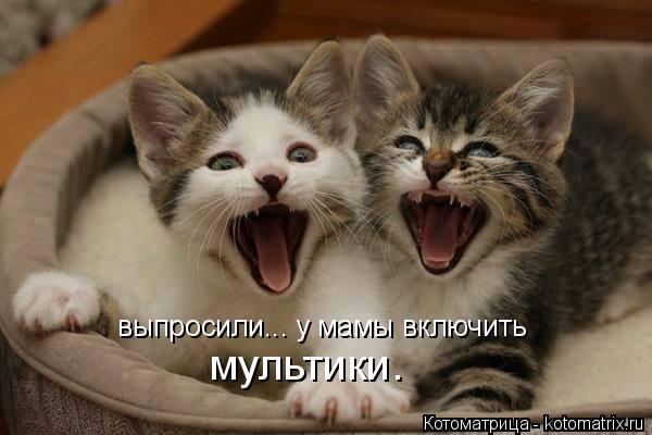 выпросили... у мамы включить мультики.... Котоматрица: выпросили... у мамы включить мультики.