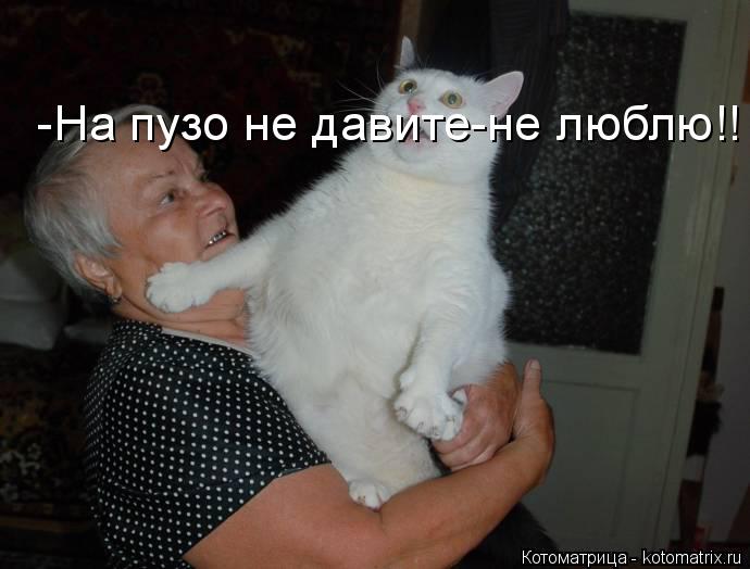 -На пузо не давите-не люблю!!... Котоматрица: -На пузо не давите-не люблю!!