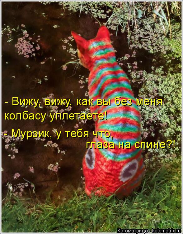 - Вижу, вижу, как вы без меня колбасу уплетаете! - Мурзик, у тебя что, глаза на спине?!... Котоматрица: - Вижу, вижу, как вы без меня колбасу уплетаете! - Мурзик, у тебя что, глаза на спине?!