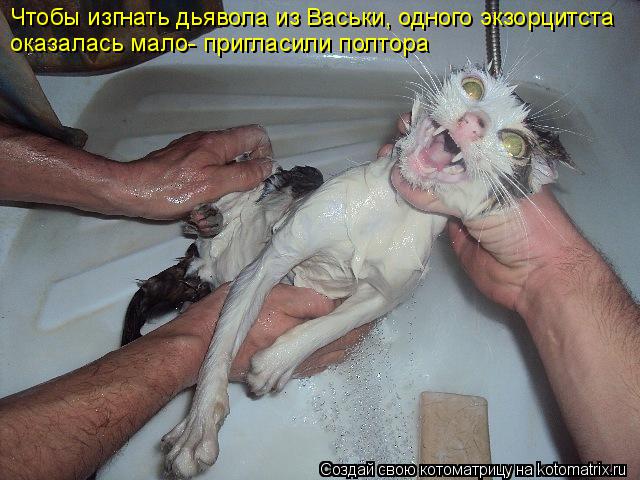 Чтобы изгнать дьявола из Васьки, одного экзорцитста оказалась мало- пригласили полтора... Котоматрица: Чтобы изгнать дьявола из Васьки, одного экзорцитста оказалась мало- пригласили полтора