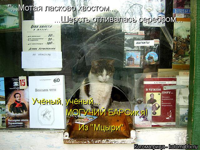"...Мотая ласково хвостом... ...Шерсть отливалась серебром..." Учёный, учёный... МОГУЧИЙ БАРСик я! Из... Котоматрица: "...Мотая ласково хвостом... ...Шерсть отливалась серебром..." Учёный, учёный... МОГУЧИЙ БАРСик я! Из "Мцыри".