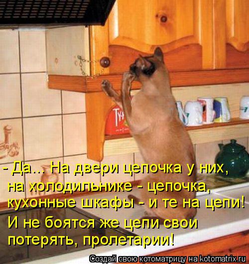 - Да... На двери цепочка у них, на холодильнике - цепочка, кухонные шкафы - и те на цепи! И не боятся... Котоматрица: - Да... На двери цепочка у них, на холодильнике - цепочка, кухонные шкафы - и те на цепи! И не боятся же цепи свои потерять, пролетарии!