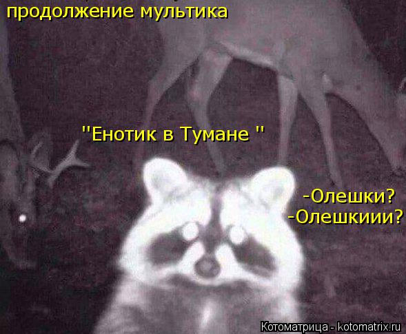 продолжение мультика ''Енотик в Тумане '' -Олешки? -Олешкиии?... Котоматрица: продолжение мультика ''Енотик в Тумане '' -Олешки? -Олешкиии?