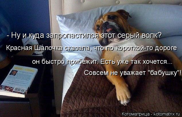 - Ну и куда запропастился этот серый волк? Красная Шапочка сказала, что по короткой-то дороге он быст... Котоматрица: - Ну и куда запропастился этот серый волк? Красная Шапочка сказала, что по короткой-то дороге он быстро прибежит. Есть уже так хочется... Совс