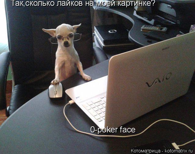 Так,сколько Так,сколько лайков на моей картинке? Так,сколько 0-poker face... Котоматрица: Так,сколько Так,сколько лайков на моей картинке? Так,сколько 0-poker face