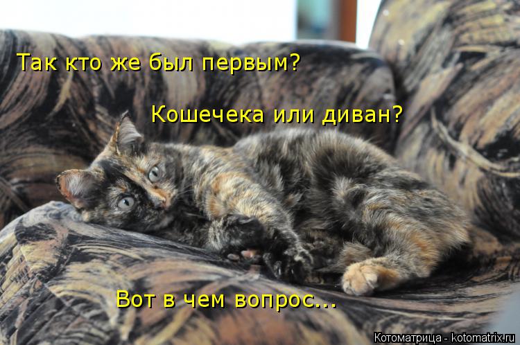 Так кто же был первым? Кошечека или диван? Вот в чем вопрос...... Котоматрица: Так кто же был первым? Кошечека или диван? Вот в чем вопрос...