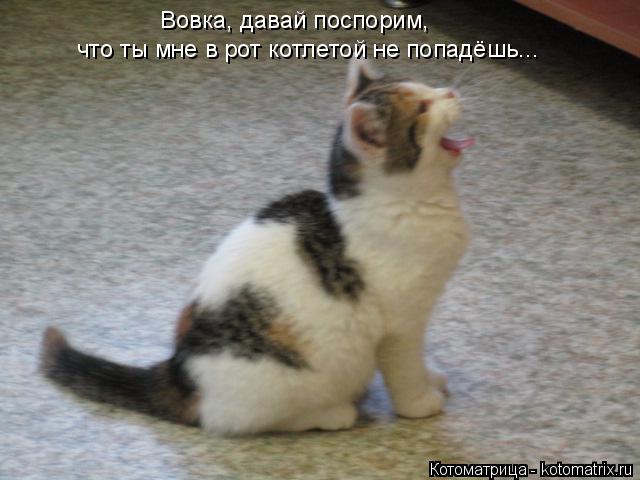 Вовка, давай поспорим, что ты мне в рот котлетой не попадёшь...... Котоматрица: Вовка, давай поспорим, что ты мне в рот котлетой не попадёшь...