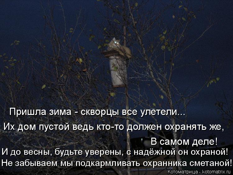 Пришла зима - скворцы все улетели... Их дом пустой ведь кто-то должен охранять же, В самом деле! И до... Котоматрица: Пришла зима - скворцы все улетели... Их дом пустой ведь кто-то должен охранять же, В самом деле! И до весны, будьте уверены, с надёжной он охран