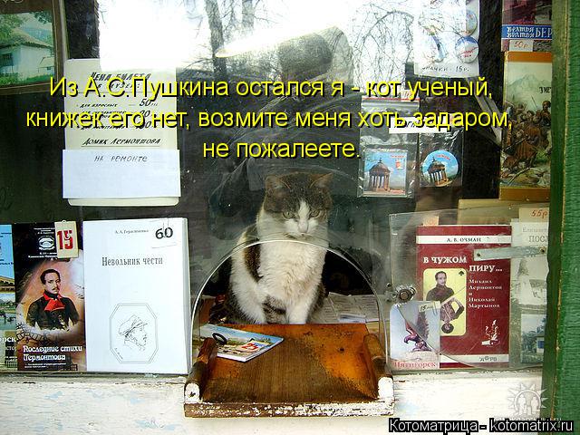 Из А.С.Пушкина остался я - кот ученый, книжек его нет, возмите меня хоть задаром, не пожалеете.... Котоматрица: Из А.С.Пушкина остался я - кот ученый, книжек его нет, возмите меня хоть задаром, не пожалеете.