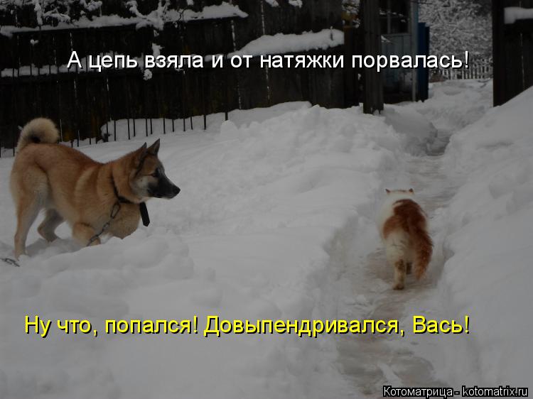 А цепь взяла и от натяжки порвалась! Ну что, попался! Довыпендривался, Вась!... Котоматрица: А цепь взяла и от натяжки порвалась! Ну что, попался! Довыпендривался, Вась!