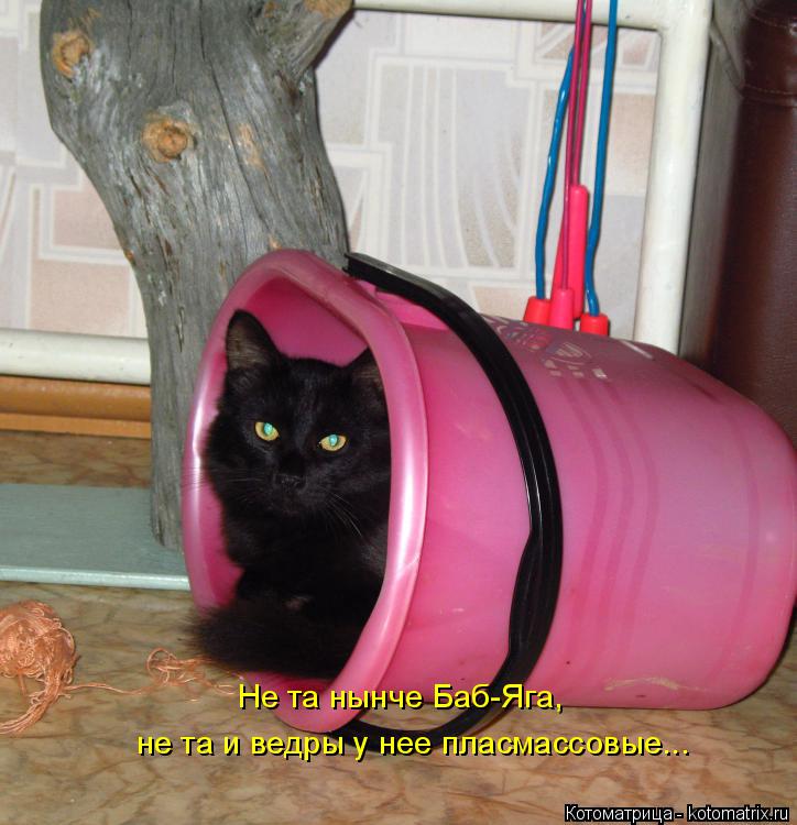 Не та нынче Баб-Яга, не та и ведры у нее пласмассовые...... Котоматрица: Не та нынче Баб-Яга, не та и ведры у нее пласмассовые...