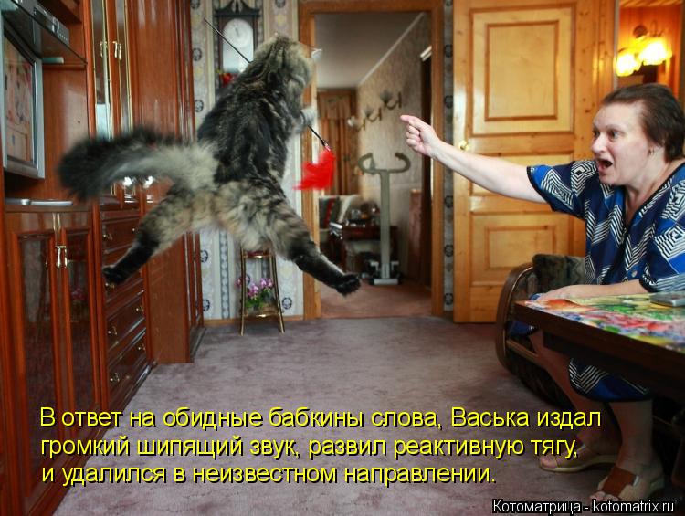В ответ на обидные бабкины слова, Васька издал громкий шипящий звук, развил реактивную тягу, и удали... Котоматрица: В ответ на обидные бабкины слова, Васька издал громкий шипящий звук, развил реактивную тягу, и удалился в неизвестном направлении.