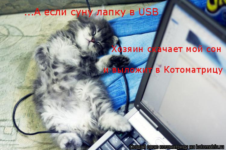 ...А если суну лапку в USB Хозяин скачает мой сон и выложит в Котоматрицу... Котоматрица: ...А если суну лапку в USB Хозяин скачает мой сон и выложит в Котоматрицу