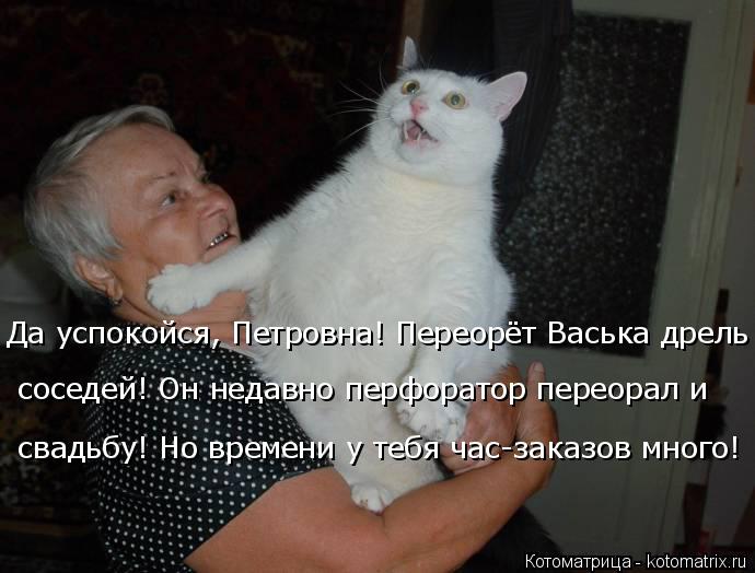 Да успокойся, Петровна! Переорёт Васька дрель соседей! Он недавно перфоратор переорал и свадьбу! Но... Котоматрица: Да успокойся, Петровна! Переорёт Васька дрель соседей! Он недавно перфоратор переорал и свадьбу! Но времени у тебя час-заказов много!