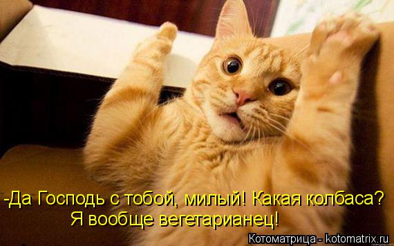 -Да Господь с тобой, милый! Какая колбаса? Я вообще вегетарианец!... Котоматрица: -Да Господь с тобой, милый! Какая колбаса? Я вообще вегетарианец!