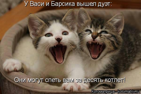 У Васи и Барсика вышел дуэт: Они могут спеть вам за десять котлет!... Котоматрица: У Васи и Барсика вышел дуэт: Они могут спеть вам за десять котлет!