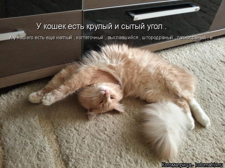 У кошек есть крулый и сытый угол . А у нашего есть еще наглый , когтеточный , выспавшийся , штородран... Котоматрица: У кошек есть крулый и сытый угол . А у нашего есть еще наглый , когтеточный , выспавшийся , штородраный , тапкосраный , и ...