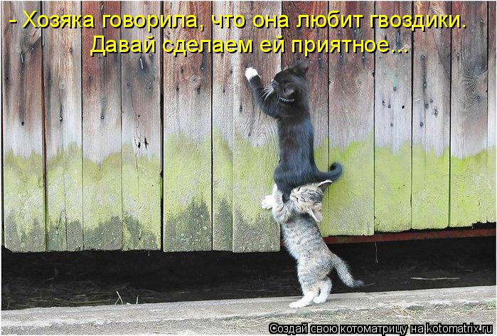- Хозяка говорила, что она любит гвоздики. Давай сделаем ей приятное...... Котоматрица: - Хозяка говорила, что она любит гвоздики. Давай сделаем ей приятное...