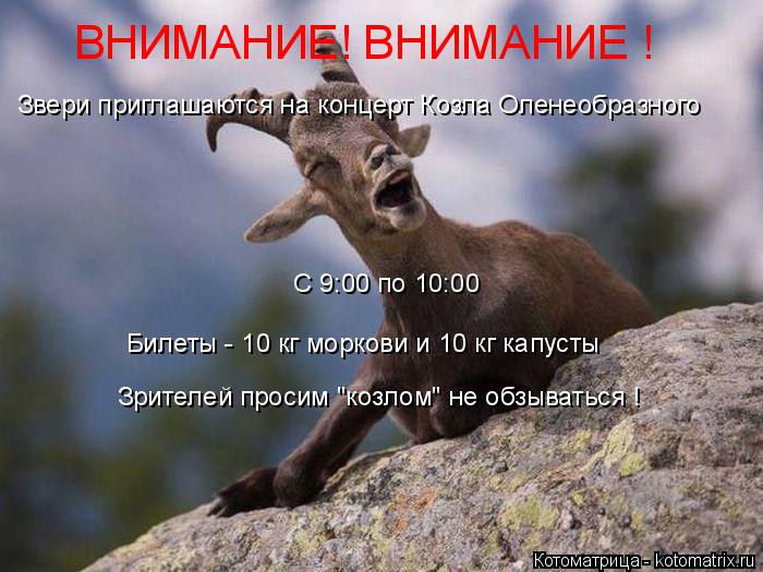 Звери приглашаются на концерт Козла Оленеобразного С 9:00 по 10:00 Билеты - 10 кг моркови и 10 кг кап... Котоматрица: Звери приглашаются на концерт Козла Оленеобразного С 9:00 по 10:00 Билеты - 10 кг моркови и 10 кг капусты Зрителей просим "козлом" не обзываться ! В