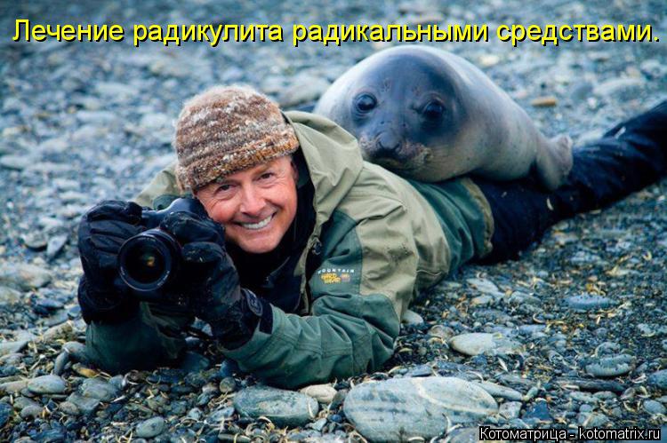 Лечение радикулита радикальными средствами.... Котоматрица: Лечение радикулита радикальными средствами.