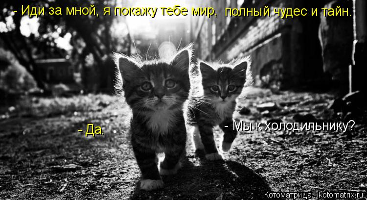 - Иди за мной, я покажу тебе мир, полный чудес и тайн. - Мы к холодильнику? - Да.... Котоматрица: - Иди за мной, я покажу тебе мир, полный чудес и тайн. - Мы к холодильнику? - Да.