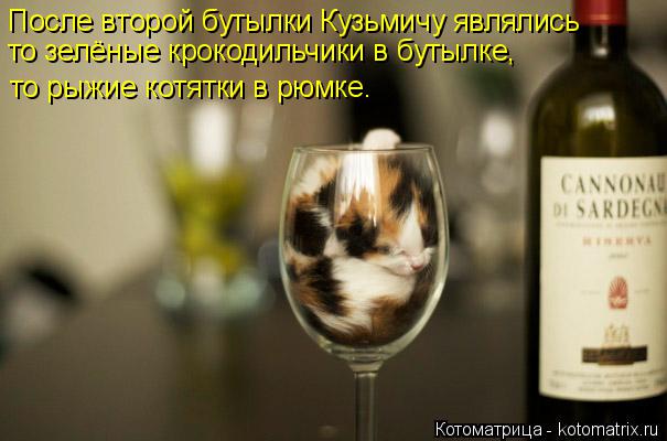 После второй бутылки Кузьмичу являлись то зелёные крокодильчики в бутылке, то рыжие котятки в рюмке.... Котоматрица: После второй бутылки Кузьмичу являлись то зелёные крокодильчики в бутылке, то рыжие котятки в рюмке.
