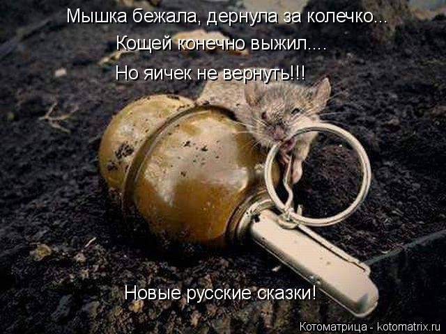 Мышка бежала, дернула за колечко... Кощей конечно выжил.... Но яичек не вернуть!!! Новые русские сказ... Котоматрица: Мышка бежала, дернула за колечко... Кощей конечно выжил.... Но яичек не вернуть!!! Новые русские сказки!