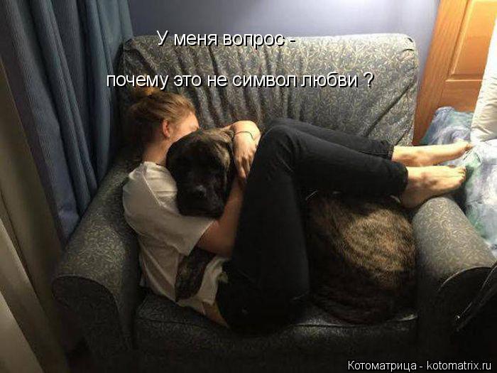 У меня вопрос - почему это не символ любви ?... Котоматрица: У меня вопрос - почему это не символ любви ?