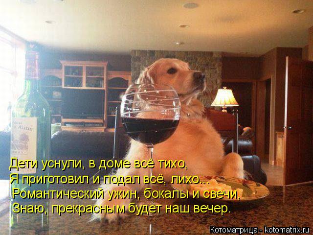 Дети уснули, в доме всё тихо, Я приготовил и подал всё, лихо... Романтический ужин, бокалы и свечи, З... Котоматрица: Дети уснули, в доме всё тихо, Я приготовил и подал всё, лихо... Романтический ужин, бокалы и свечи, Знаю, прекрасным будет наш вечер.